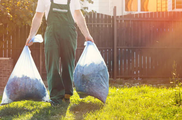 Best Electronics and E-Waste Disposal  in Macon, IL